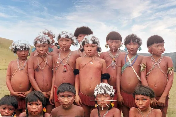 grupo de meninos pertencentes ao povo yanomami um grupo indigena que habita o norte da floresta amazonica